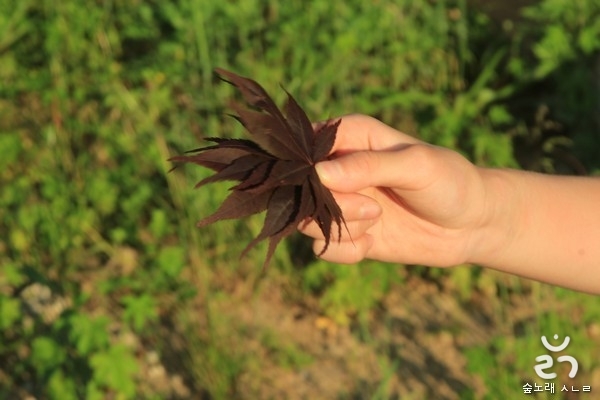 삶을 물려주면 말도 저절로 물려줍니다