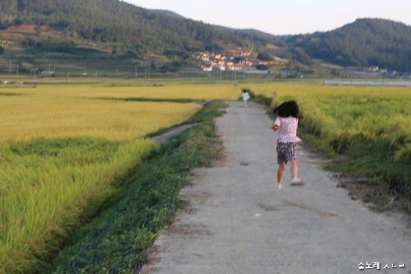 숲길을, 들길을, 마을길을 걸으면 말빛이 깨어납니다.
