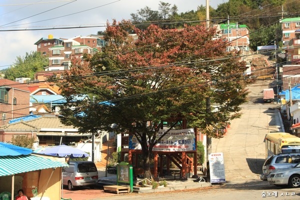 마을을 밝히고 감싸는 나무처럼 글을 쓰면 됩니다